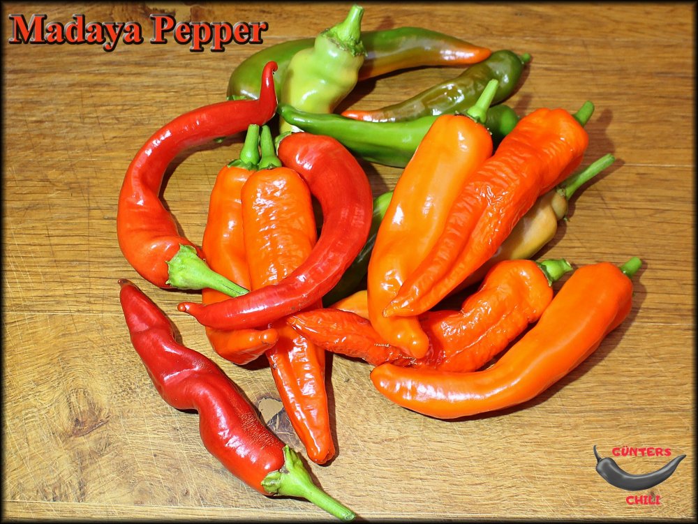 01_Chilis_.jpg