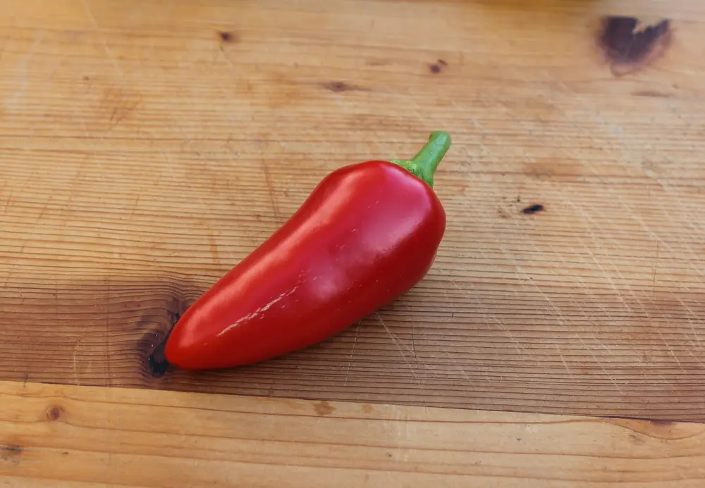02_Frucht ganz.webp
