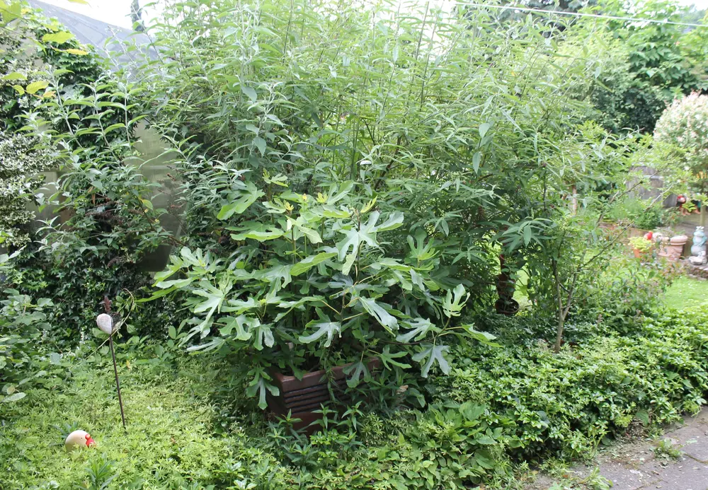 03.webp