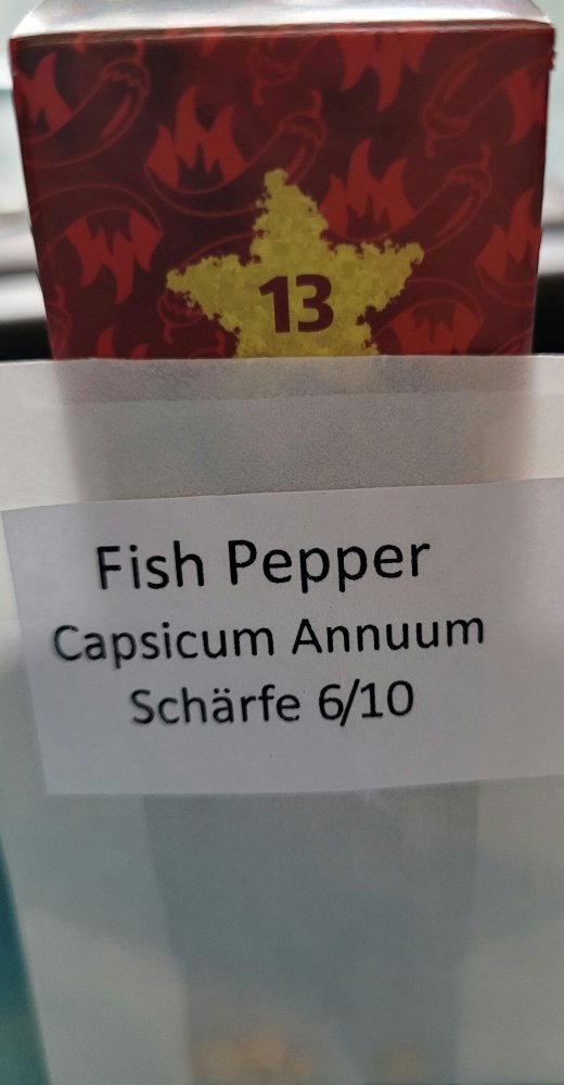 13.türchen.jpg