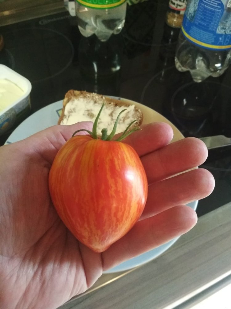 1693229041991.jpeg
