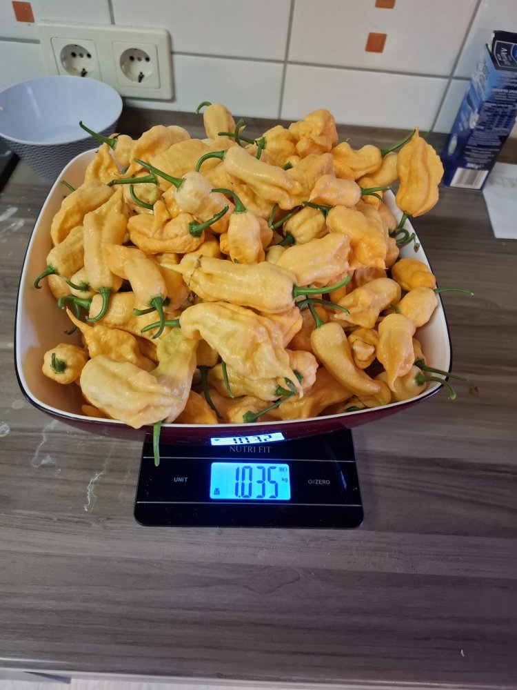 1755611667327.jpeg