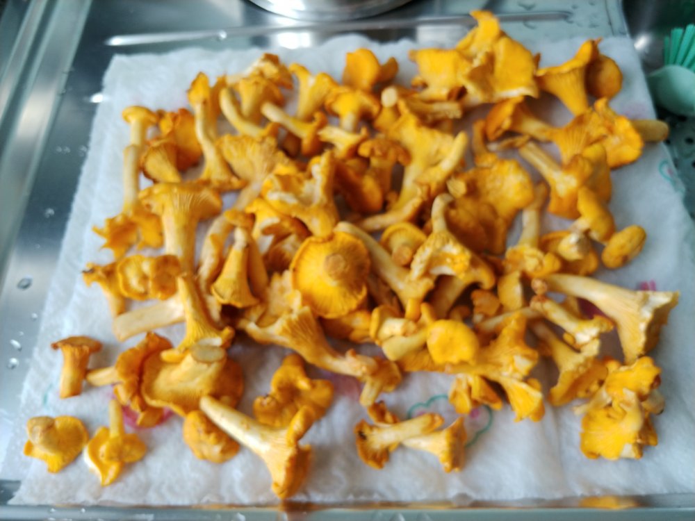 20200906_122005.jpg