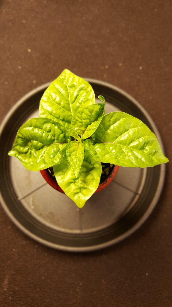 20201229_093545.jpg