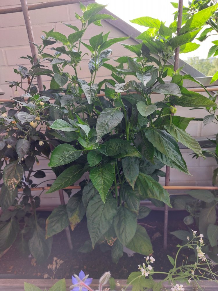 20220618_075606.jpg