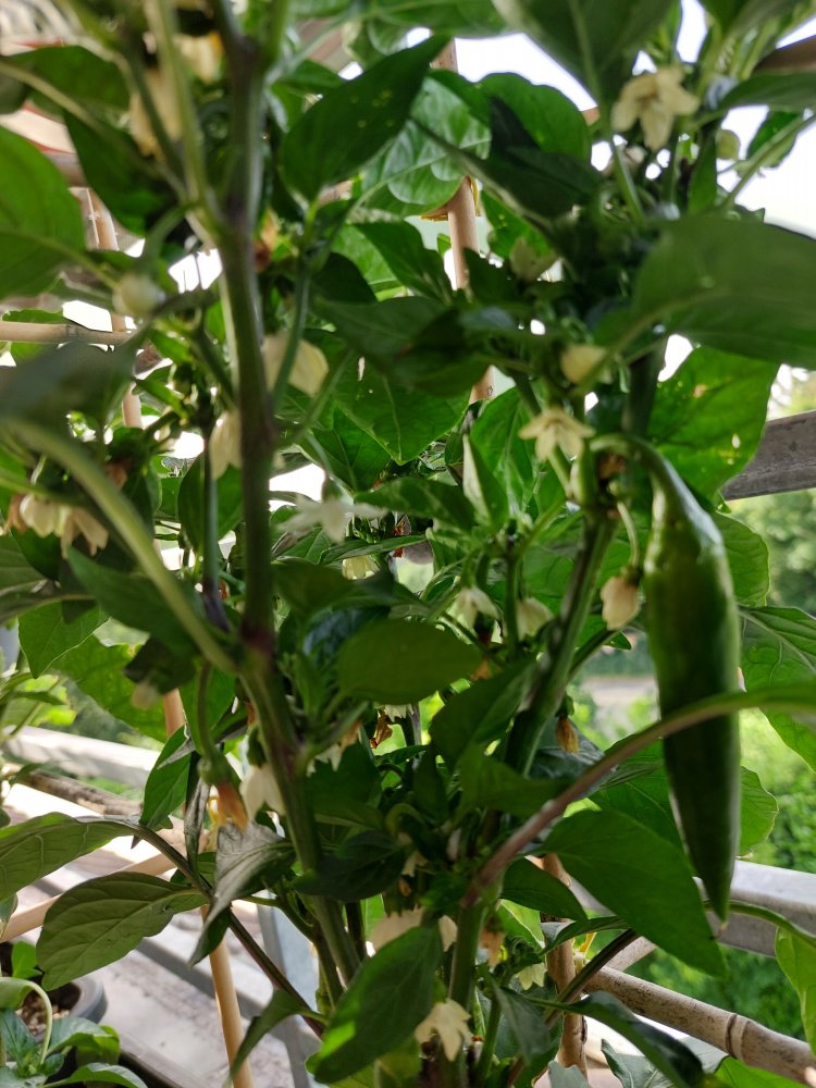 20220618_080049.jpg