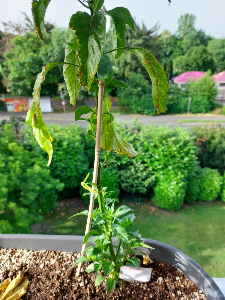 20220618_080433.jpg