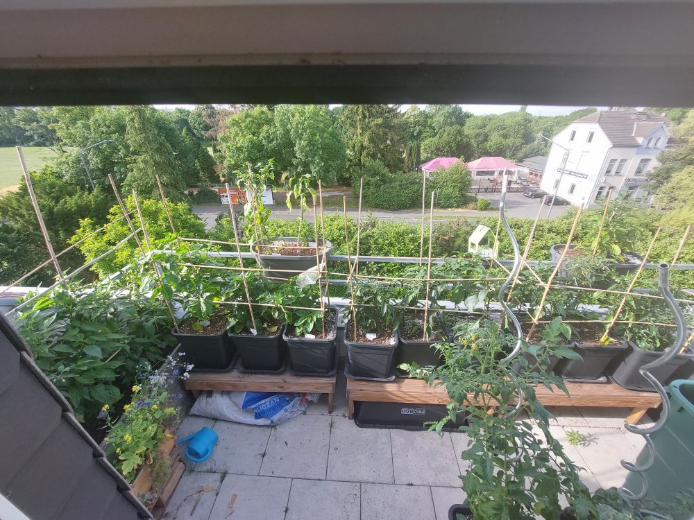 20220618_083655.jpg