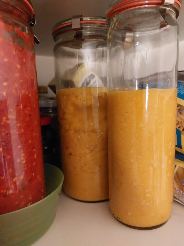 20220922_211559.jpg