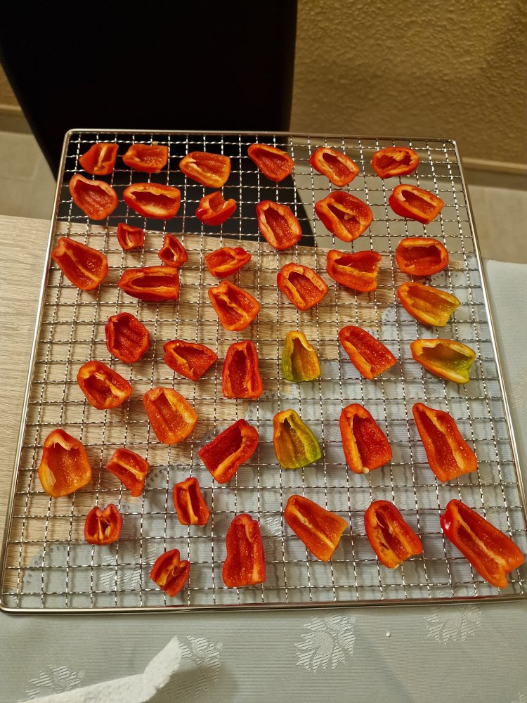 20230805_160451.jpg