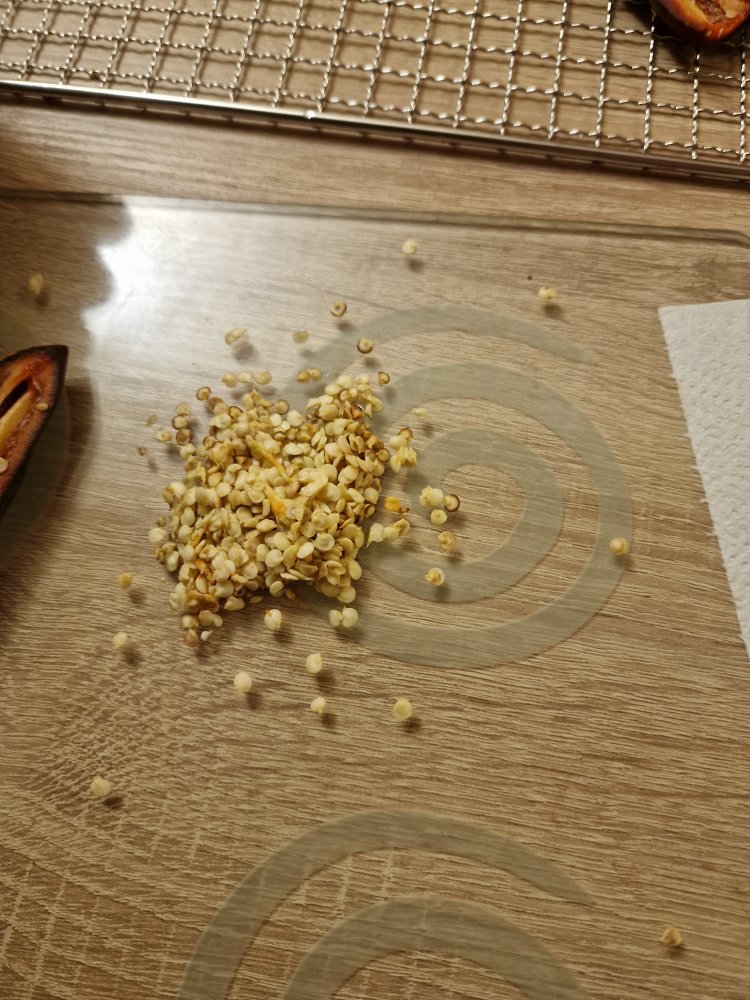 20230805_160610.jpg