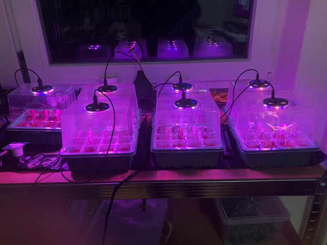 20240108.jpg
