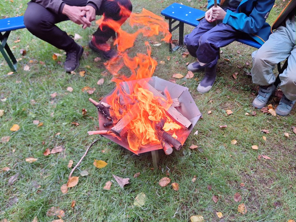 20241003_171850.jpg