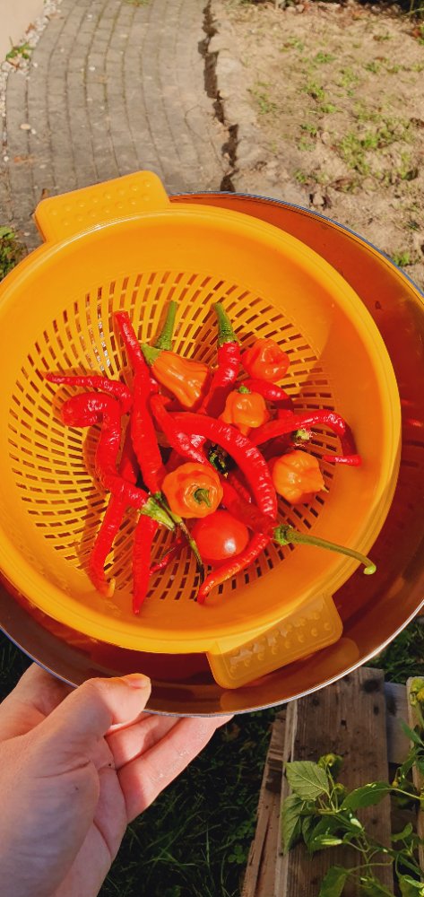 20241027_093030.jpg