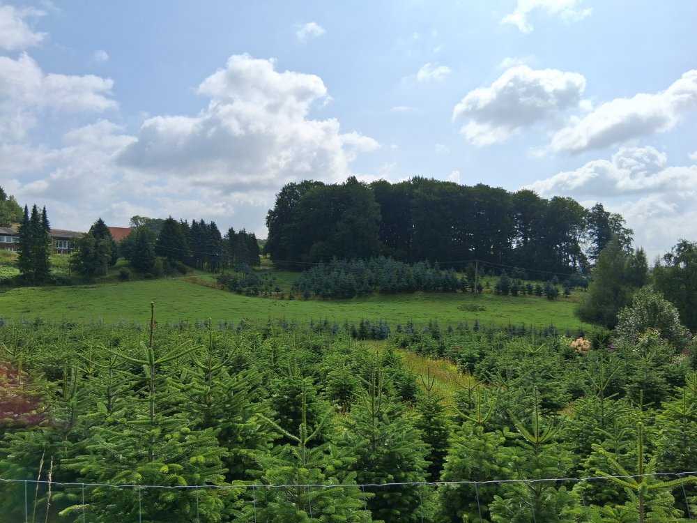 20250726_112403.jpg