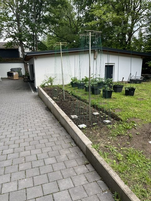 202600521 (1).jpeg