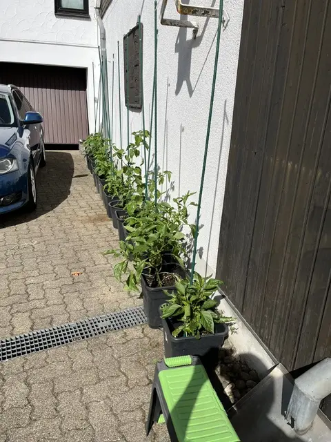 202600601 (6).webp