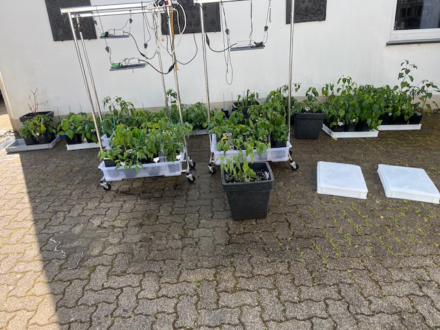 20260411 (1).jpeg