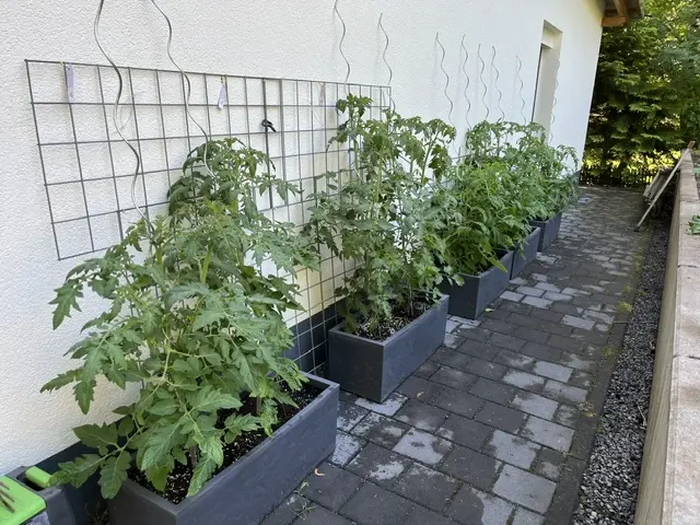 20260613_T (3).webp