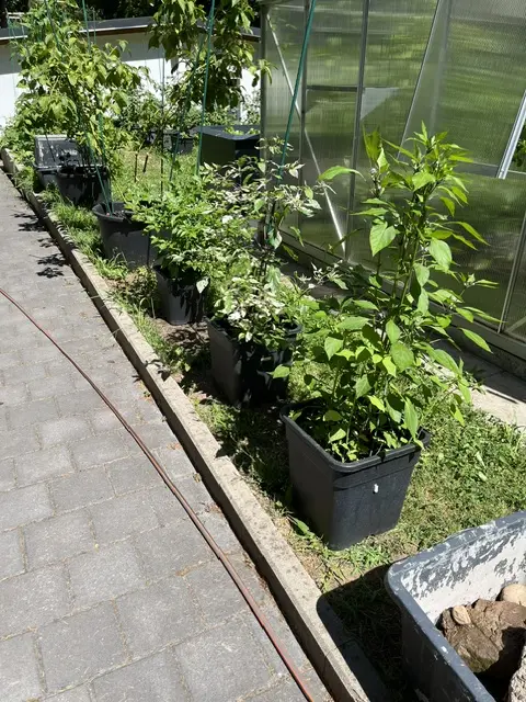 20260703 (6).webp
