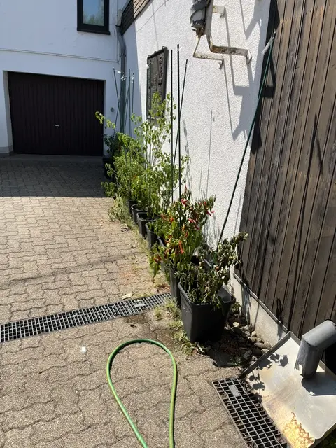 20260803 (1).webp