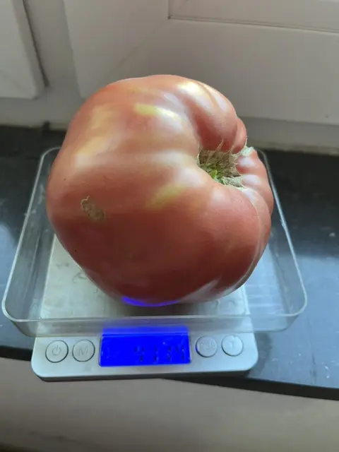 20260812 (2).webp