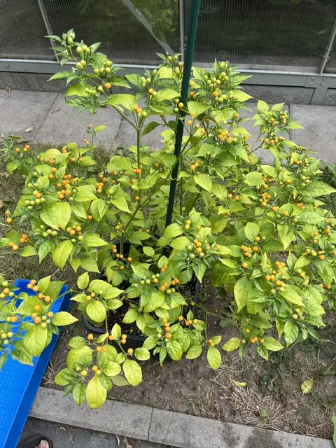 20260817 (1).webp