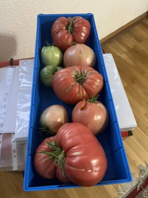 20260917 (1).webp