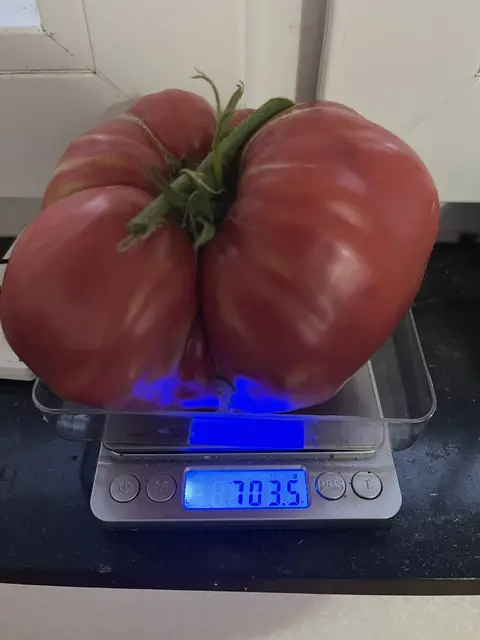 20260917 (3).webp