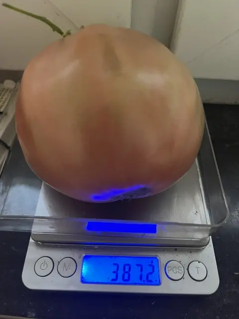 20260917 (5).webp