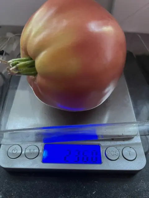 20260918 (3).webp