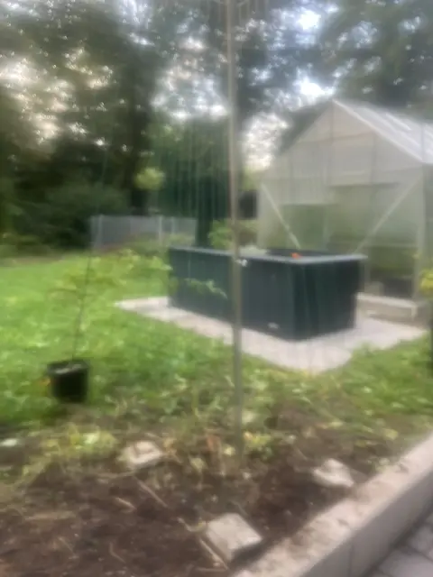 20261004 (3).webp