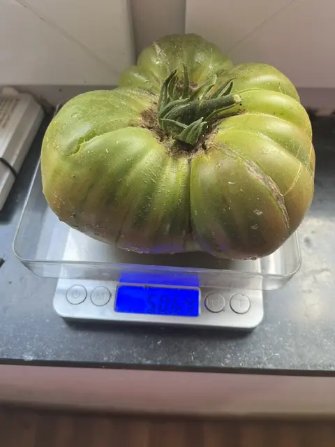 20261010 (2).webp