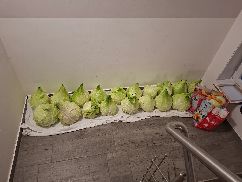 20261028_162050.webp
