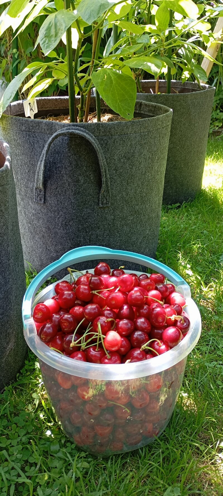 49738752cl.jpg
