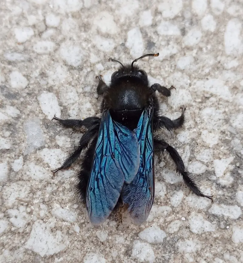 51145494uy.webp