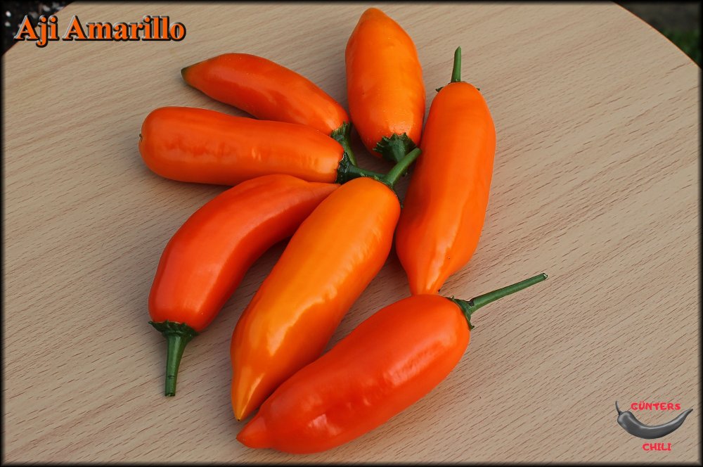 Aji Amarillo_.jpg