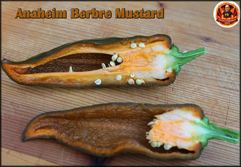 Anaheim Berbre Mustard Beeren 02082026_.webp