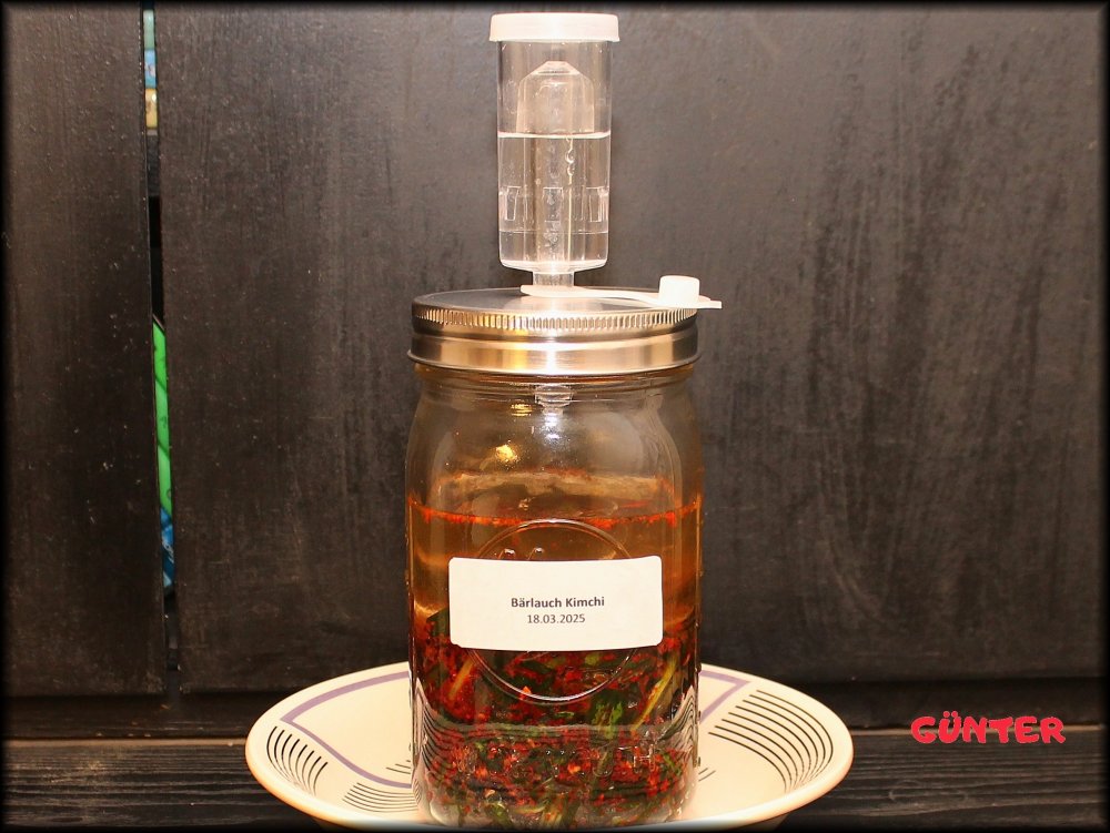 Bärlauchkimchi 20250318_.jpg