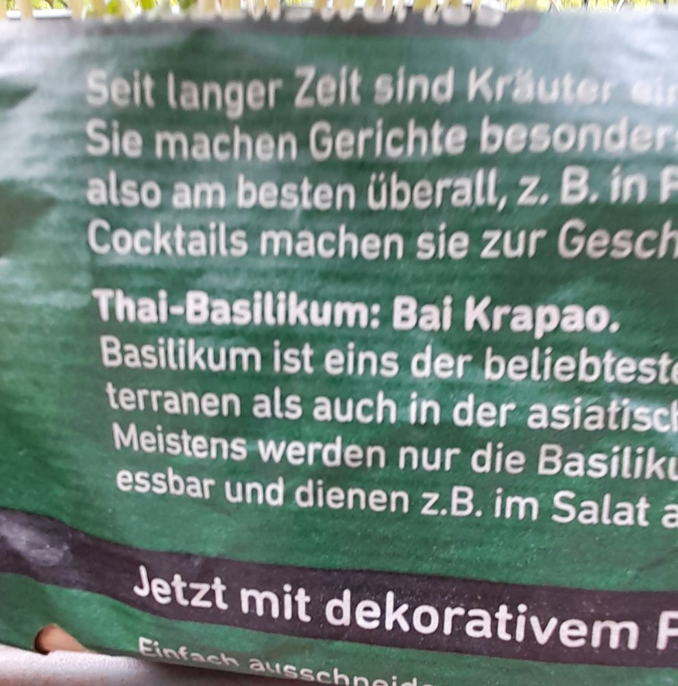 Bai Krapao Toom.jpg