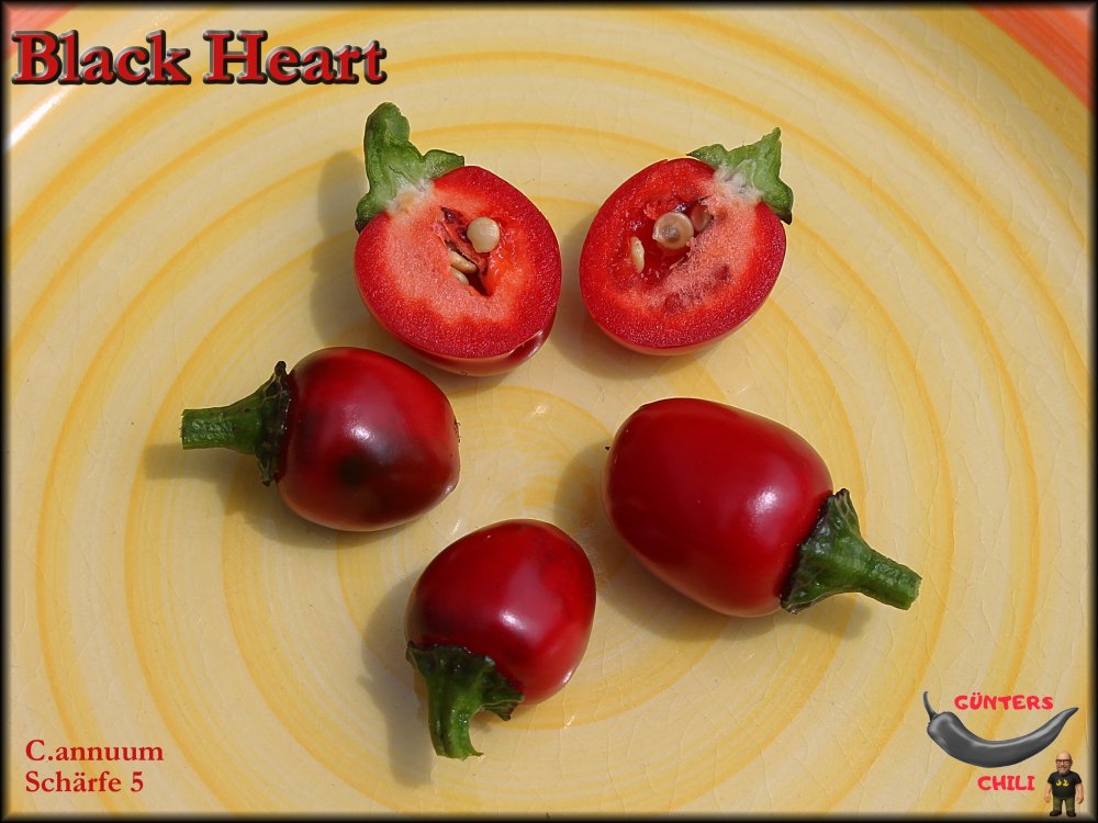 Black Heart 24062025_.jpg