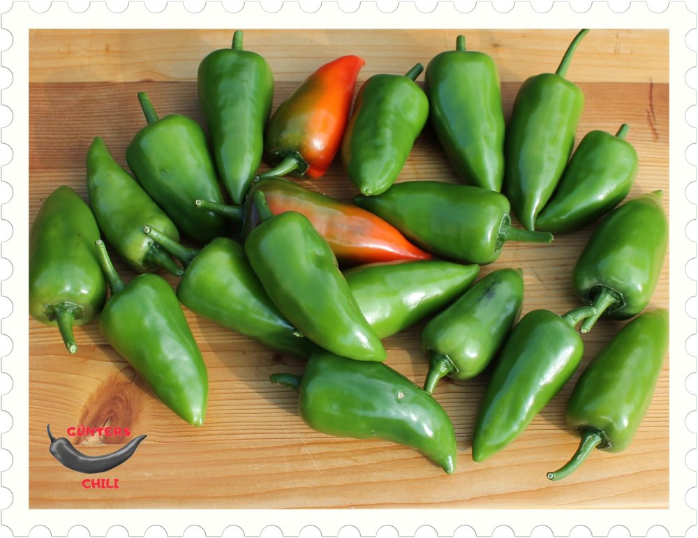 Chiliernte 24082021.JPG