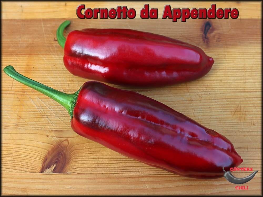 Cornetto da Appendere 19092024_.jpg