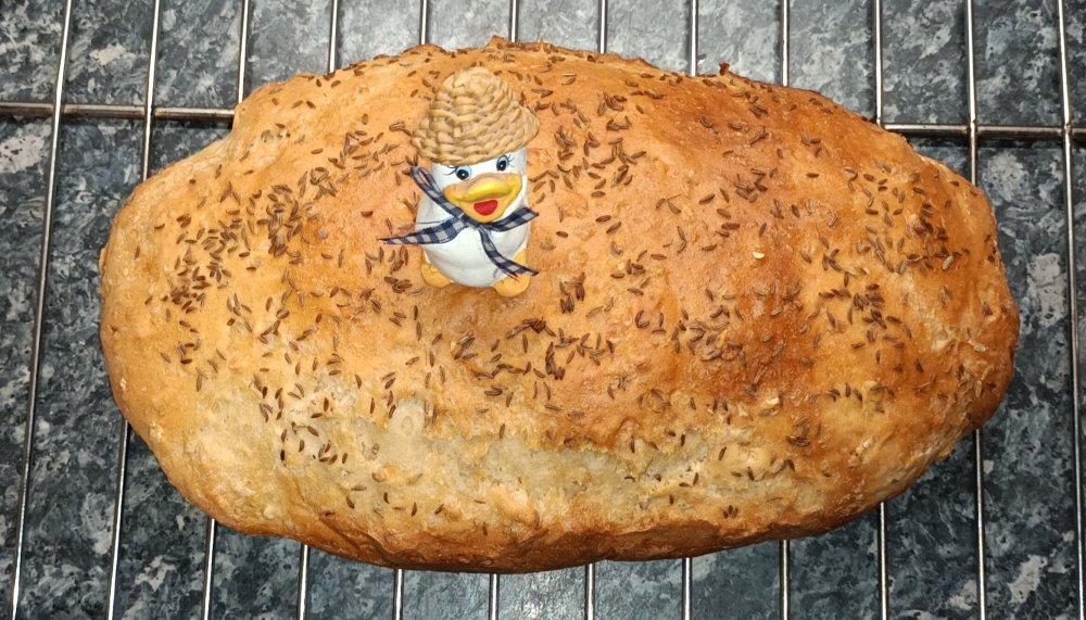 Dinkel 1050&550 Kümmelbrot 20221005_190136.jpg