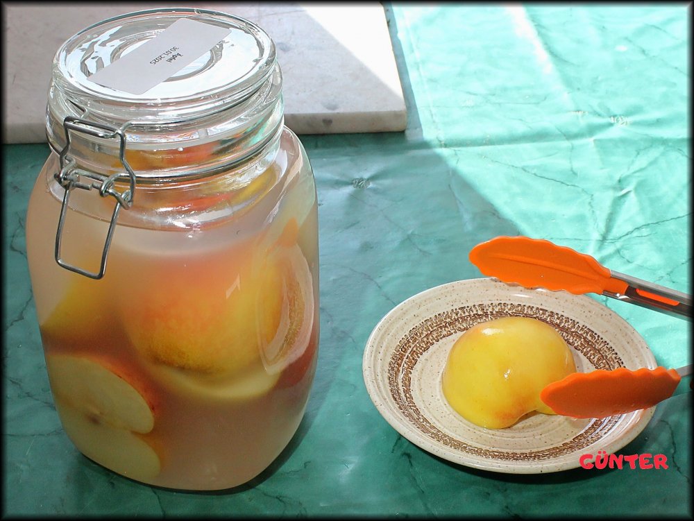 Fermentierter Apfel 10.03.2025_.jpg