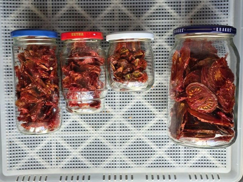 full?d=1754406572.jpg