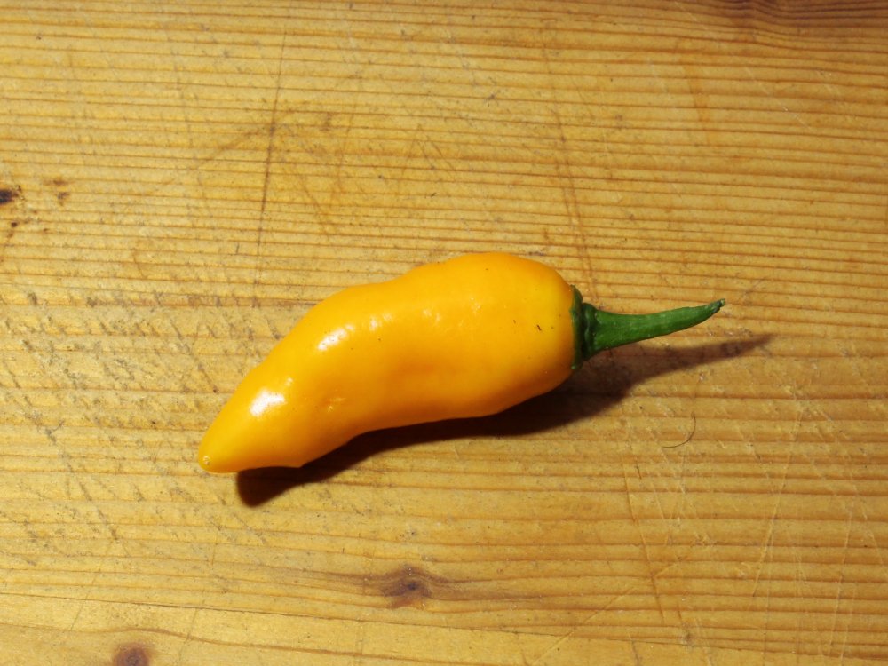 Ganze Frucht.JPG