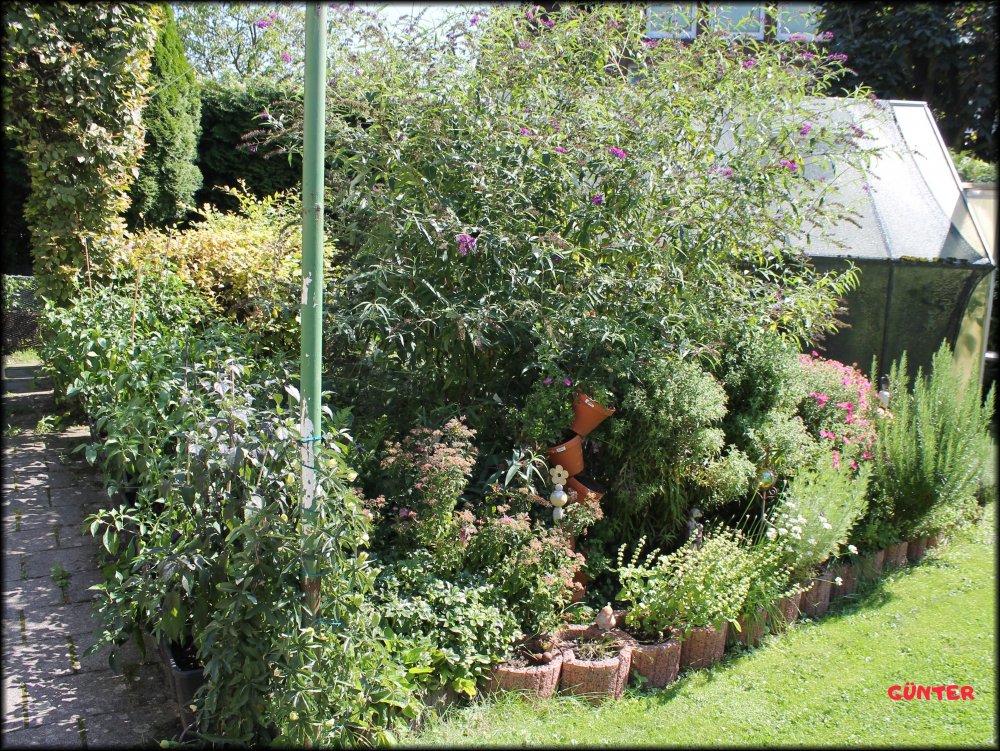 Garten_03.JPG