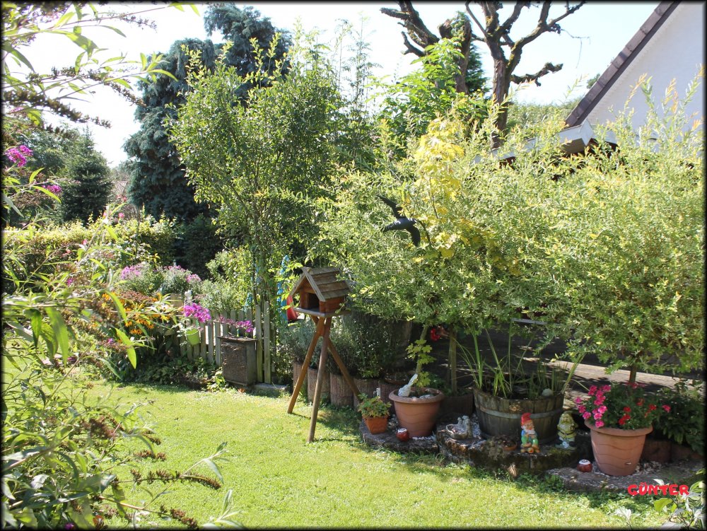 Garten_07.JPG