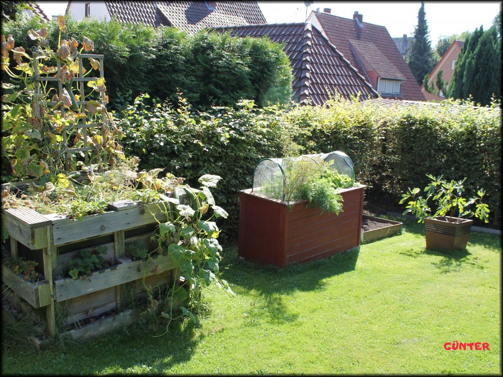 Garten_09.JPG